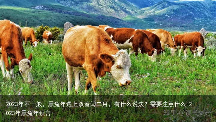 2023年不一般,黑兔年遇上双春闰二月,有什么说法?需要注意什么-2023年黑兔年预言