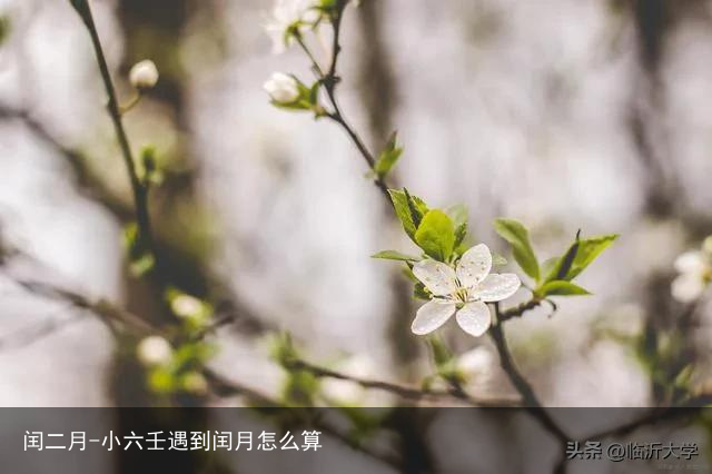 闰二月-小六壬遇到闰月怎么算