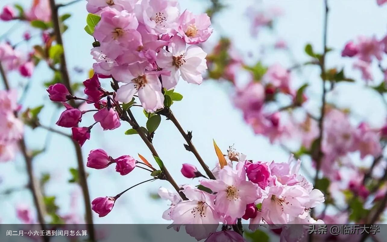 闰二月-小六壬遇到闰月怎么算