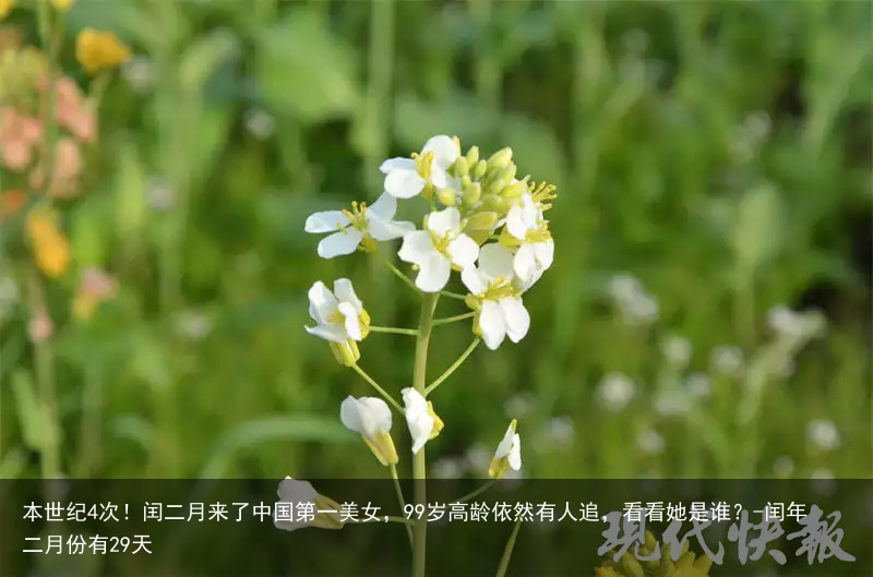 本世纪4次!闰二月来了中国第一美女,99岁高龄依然有人追,看看她是谁?-闰年二月份有29天