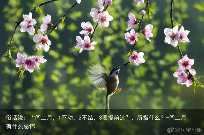 俗话说:“闰二月,1不动,2不结,3要提前过”,所指什么?-闰二月有什么忌讳