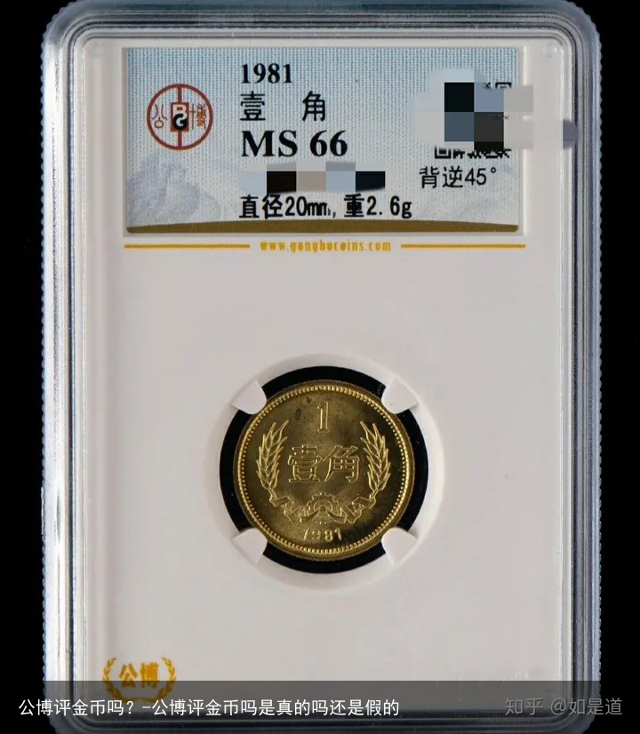 公博评金币吗?-公博评金币吗是真的吗还是假的