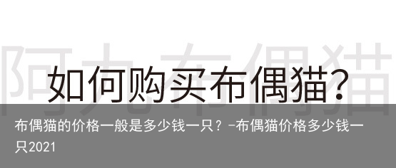 布偶猫的价格一般是多少钱一只?-布偶猫价格多少钱一只2021
