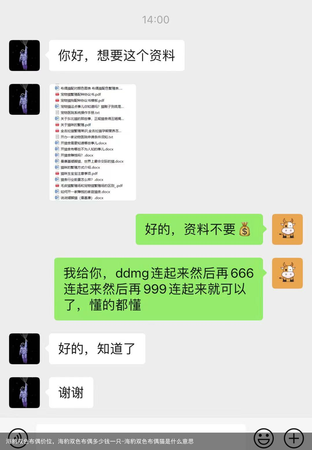 海豹双色布偶价位,海豹双色布偶多少钱一只-海豹双色布偶猫是什么意思