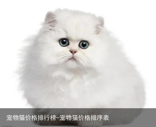 宠物猫价格排行榜-宠物猫价格排序表
