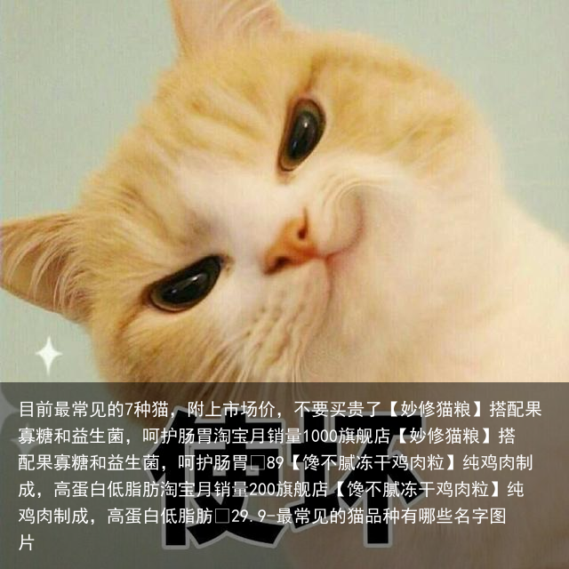 目前最常见的7种猫,附上市场价,不要买贵了