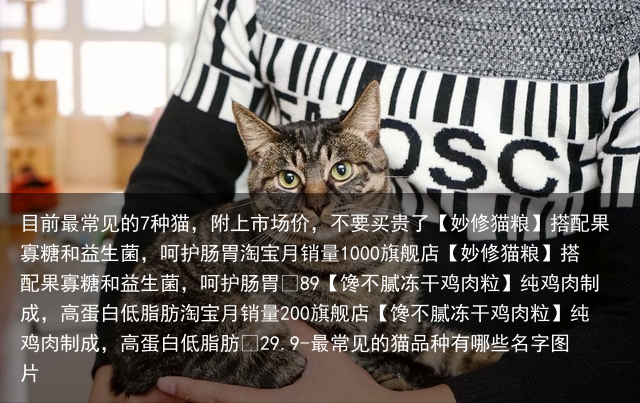 目前最常见的7种猫,附上市场价,不要买贵了