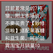 目前最常见的7种猫,附上市场价,不要买贵了