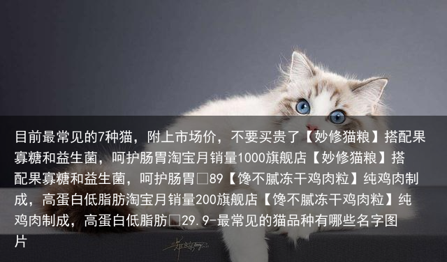 目前最常见的7种猫,附上市场价,不要买贵了