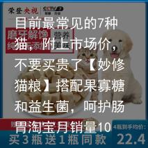 目前最常见的7种猫,附上市场价,不要买贵了