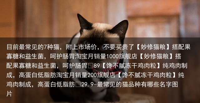 目前最常见的7种猫,附上市场价,不要买贵了