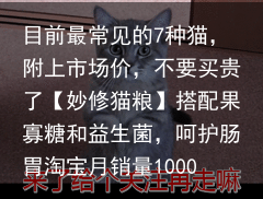 目前最常见的7种猫,附上市场价,不要买贵了