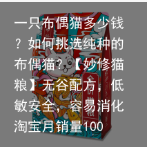 一只布偶猫多少钱?如何挑选纯种的布偶猫?