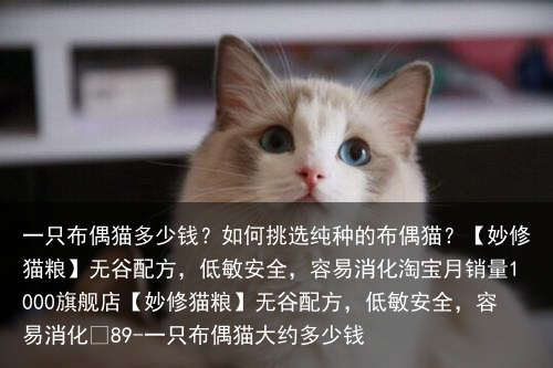 一只布偶猫多少钱?如何挑选纯种的布偶猫?