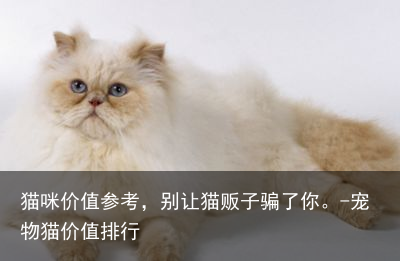 猫咪价值参考,别让猫贩子骗了你。-宠物猫价值排行