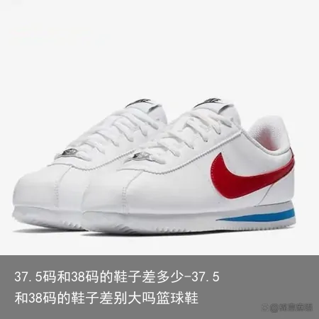 37.5码和38码的鞋子差多少-37.5和38码的鞋子差别大吗篮球鞋