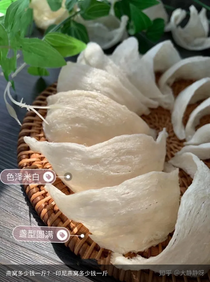 燕窝多少钱一斤?-印尼燕窝多少钱一斤