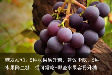 糖友须知:5种水果易升糖,建议少吃,5种水果降血糖,或可常吃-哪些水果容易升糖