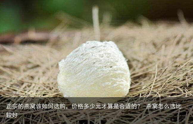 正宗的燕窝该如何选购,价格多少元才算是合适的?-燕窝怎么选比较好