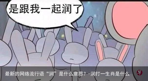 最新的网络流行语“润”是什么意思?-润打一生肖是什么