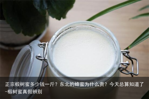 正宗椴树蜜多少钱一斤?东北的蜂蜜为什么贵?今天总算知道了-椴树蜜真假辨别