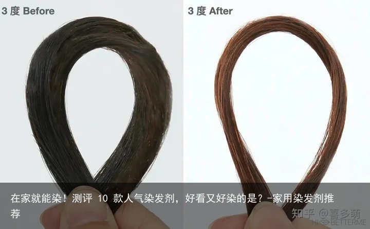 在家就能染!测评 10 款人气染发剂,好看又好染的是?-家用染发剂推荐