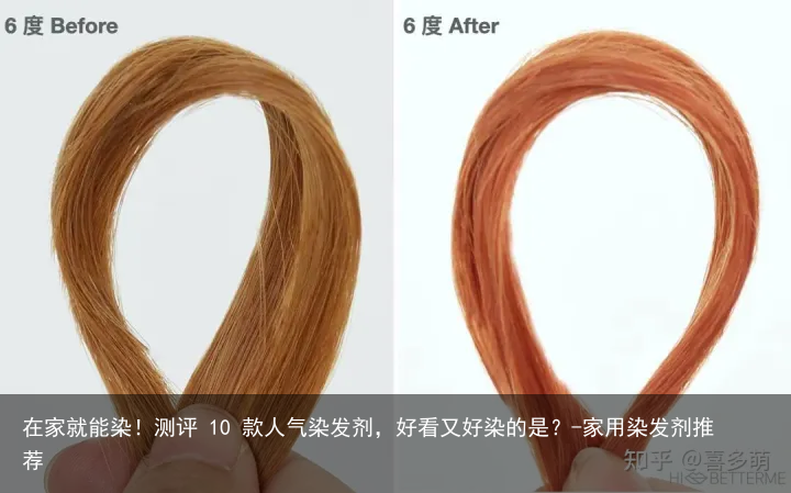 在家就能染!测评 10 款人气染发剂,好看又好染的是?-家用染发剂推荐