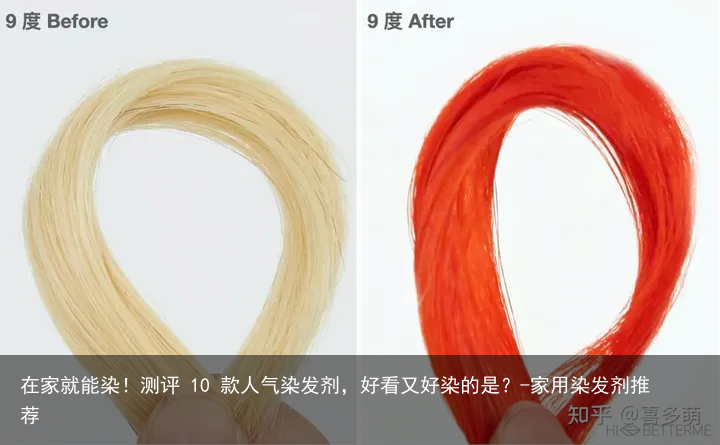 在家就能染!测评 10 款人气染发剂,好看又好染的是?-家用染发剂推荐