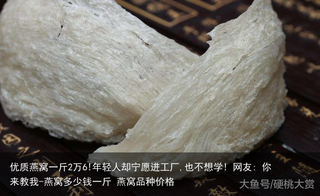 优质燕窝一斤2万6!年轻人却宁愿进工厂,也不想学! 网友: 你来教我-燕窝多少钱一斤 燕窝品种价格
