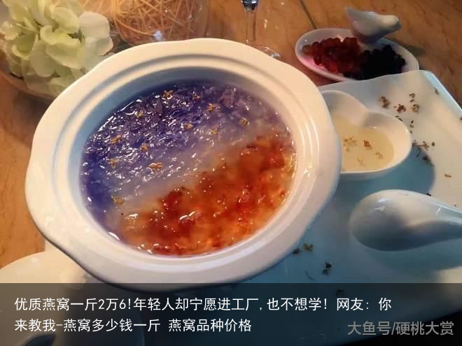 优质燕窝一斤2万6!年轻人却宁愿进工厂,也不想学! 网友: 你来教我-燕窝多少钱一斤 燕窝品种价格