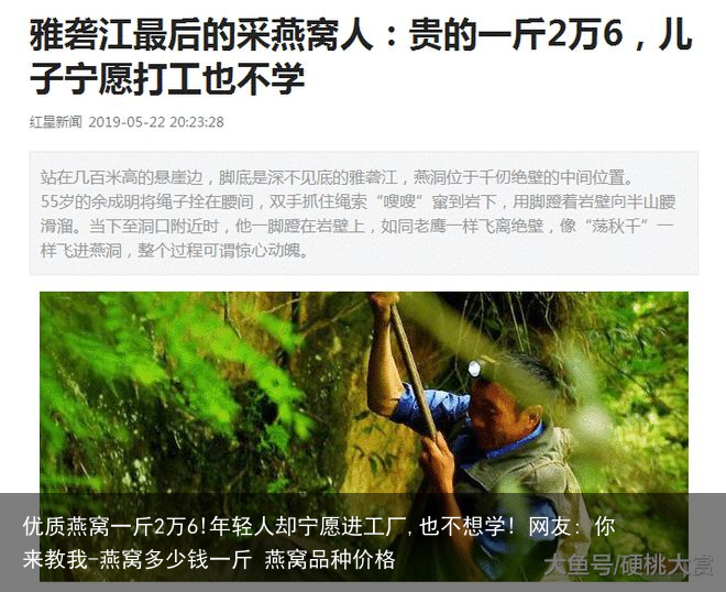 优质燕窝一斤2万6!年轻人却宁愿进工厂,也不想学! 网友: 你来教我-燕窝多少钱一斤 燕窝品种价格