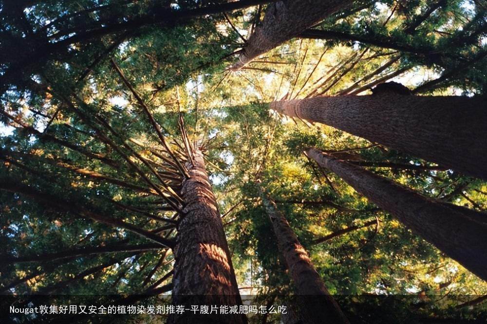 Nougat敦集好用又安全的植物染发剂推荐-平腹片能减肥吗怎么吃