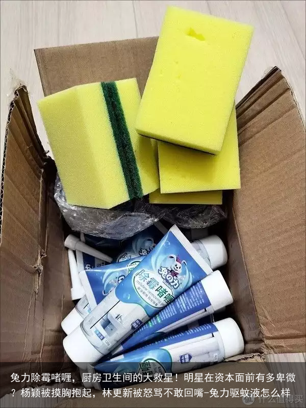 兔力除霉啫喱,厨房卫生间的大救星!