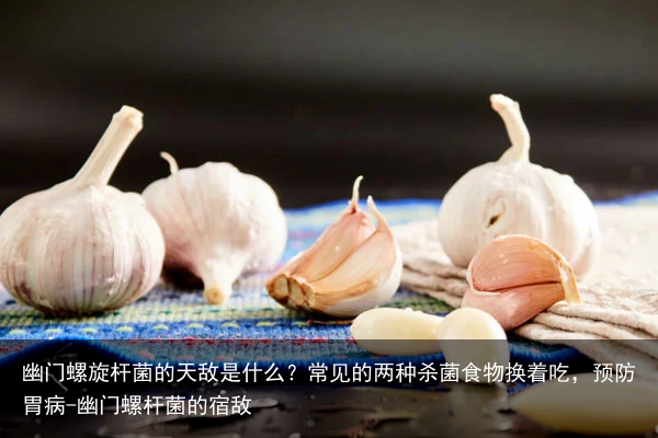 幽门螺旋杆菌的天敌是什么?常见的两种杀菌食物换着吃,预防胃病-幽门螺杆菌的宿敌