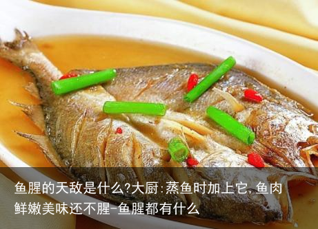鱼腥的天敌是什么?大厨:蒸鱼时加上它,鱼肉鲜嫩美味还不腥-鱼腥都有什么