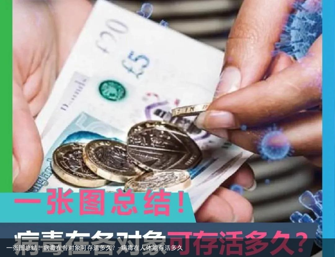 一张图总结!病毒在各对象可存活多久?-病毒在人体能存活多久