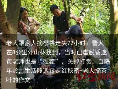 老人跟家人摘樱桃走失72小时:警犬在8公里外山林找到,当时已虚脱昏迷黄老师也是“硬茬”,关掉打赏,自曝年龄,生活照透露走红秘密-老人摘茶叶的作文