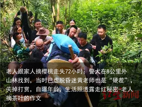 老人跟家人摘樱桃走失72小时:警犬在8公里外山林找到,当时已虚脱昏迷黄老师也是“硬茬”,关掉打赏,自曝年龄,生活照透露走红秘密-老人摘茶叶的作文