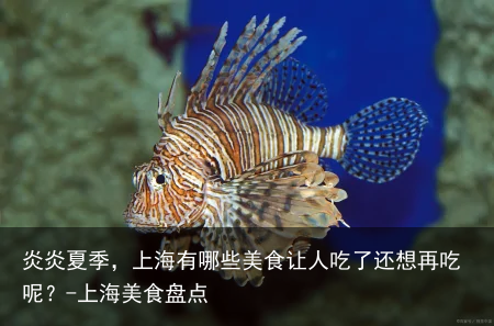 炎炎夏季,上海有哪些美食让人吃了还想再吃呢?-上海美食盘点