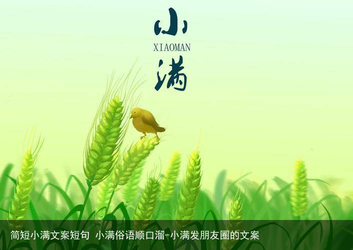 简短小满文案短句 小满俗语顺口溜-小满发朋友圈的文案