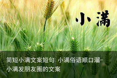 简短小满文案短句 小满俗语顺口溜-小满发朋友圈的文案
