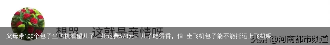 父母带100个包子坐飞机看望儿子,托运费578元:儿子吃得香,值-坐飞机包子能不能托运上飞机呢