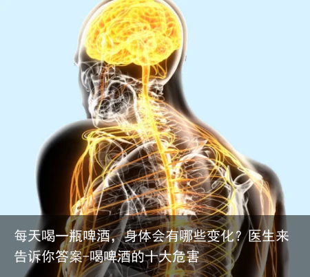 每天喝一瓶啤酒,身体会有哪些变化?医生来告诉你答案-喝啤酒的十大危害