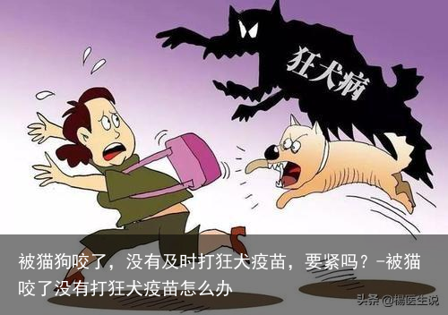 被猫狗咬了,没有及时打狂犬疫苗,要紧吗?-被猫咬了没有打狂犬疫苗怎么办