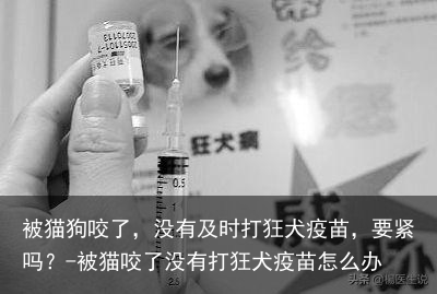 被猫狗咬了,没有及时打狂犬疫苗,要紧吗?-被猫咬了没有打狂犬疫苗怎么办