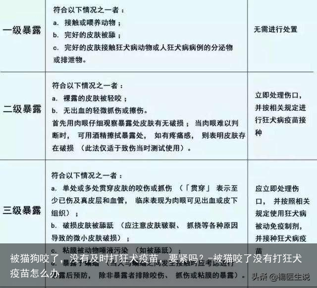 被猫狗咬了,没有及时打狂犬疫苗,要紧吗?-被猫咬了没有打狂犬疫苗怎么办