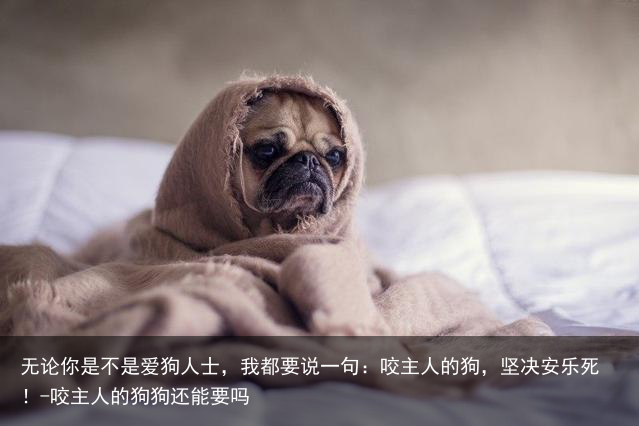 无论你是不是爱狗人士,我都要说一句:咬主人的狗,坚决安乐死!-咬主人的狗狗还能要吗