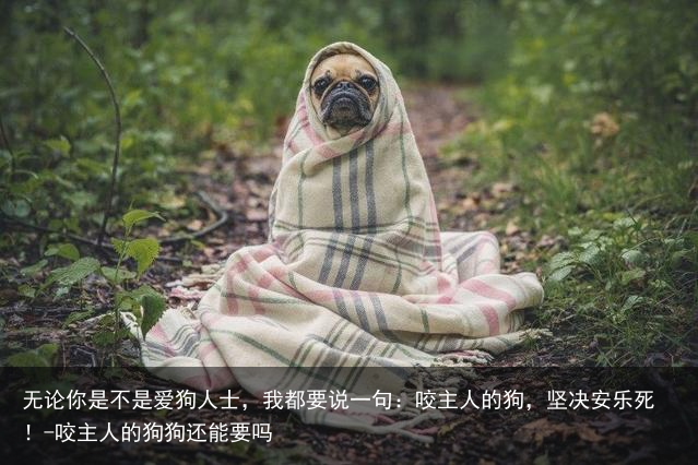 无论你是不是爱狗人士,我都要说一句:咬主人的狗,坚决安乐死!-咬主人的狗狗还能要吗