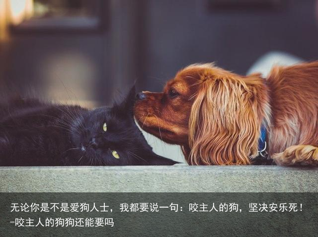 无论你是不是爱狗人士,我都要说一句:咬主人的狗,坚决安乐死!-咬主人的狗狗还能要吗