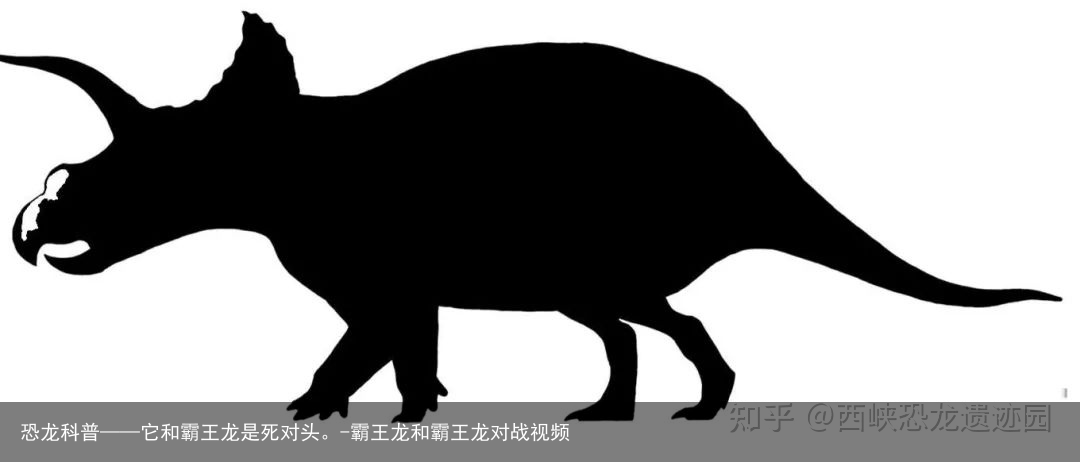 恐龙科普——它和霸王龙是死对头。-霸王龙和霸王龙对战视频